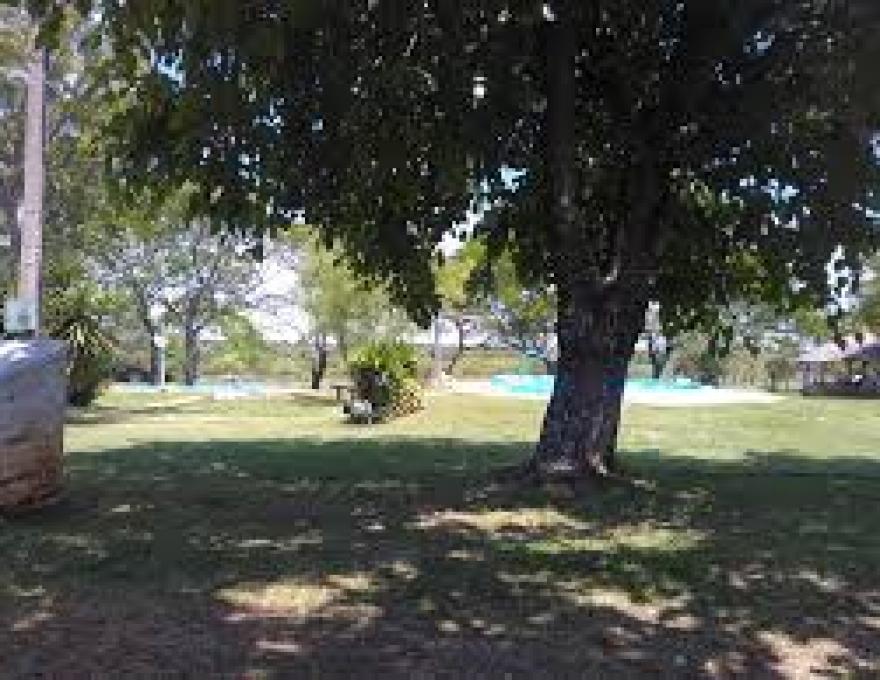 Parque