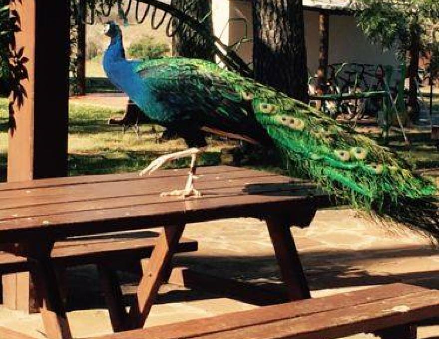 Estancia San Nicanor