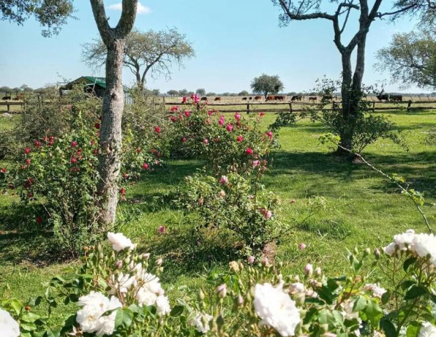 Estancia
