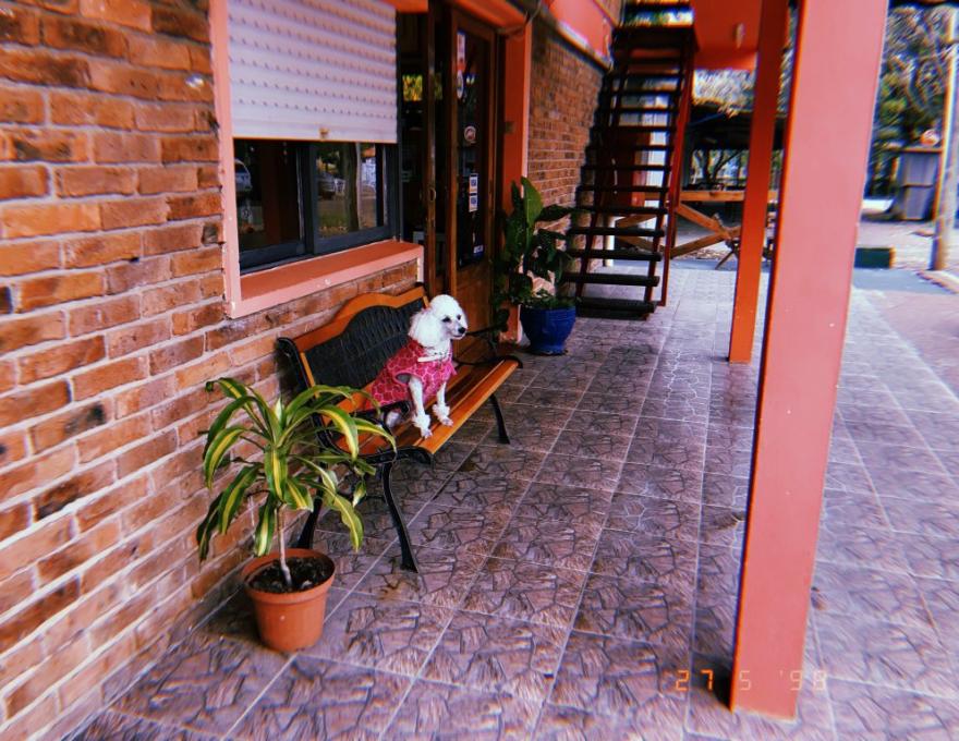 Hotel Amazonas
