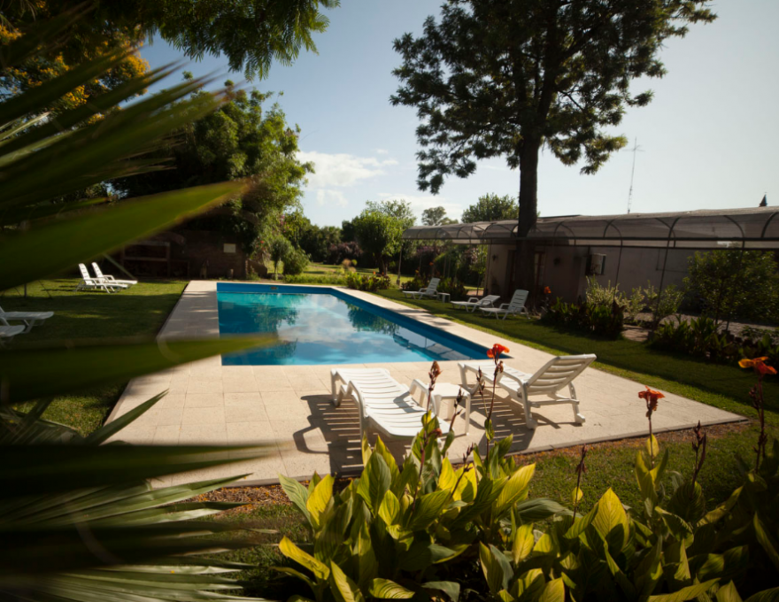 Hotel Papiros